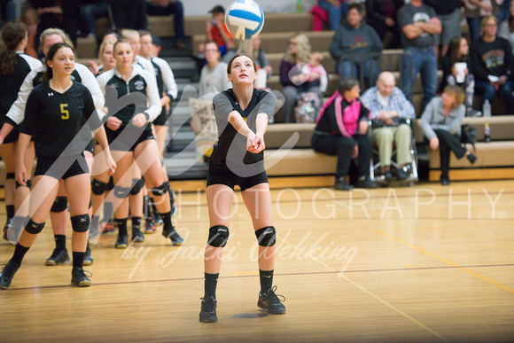 PANTHER VOLLEYBALL VS ASHBY_20171003_0007