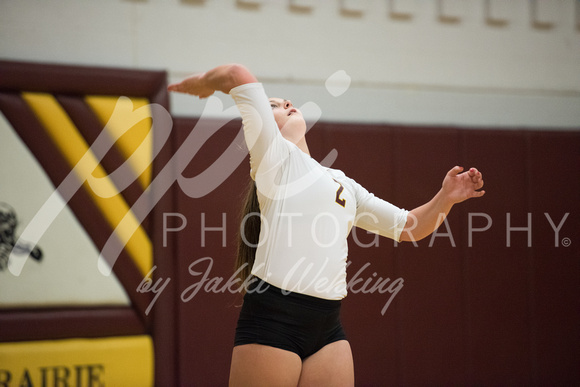PANTHER VOLLEYBALL VS HANCOCK-SECTIONS_20171023_0004