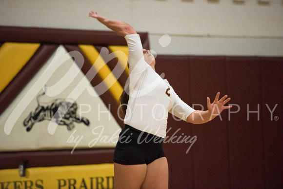 PANTHER VOLLEYBALL VS HANCOCK-SECTIONS_20171023_0006