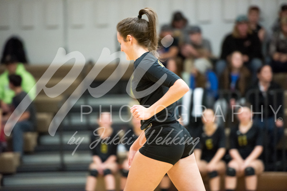 PANTHER VOLLEYBALL VS HANCOCK-SECTIONS_20171023_0009