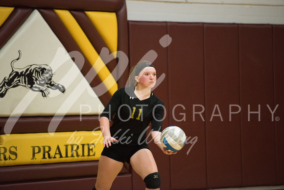 PANTHER VOLLEYBALL VS HANCOCK-SECTIONS_20171023_0013