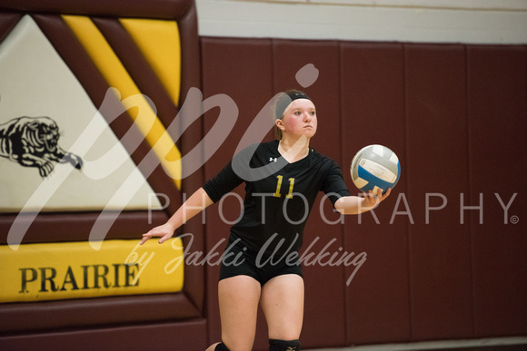 PANTHER VOLLEYBALL VS HANCOCK-SECTIONS_20171023_0014
