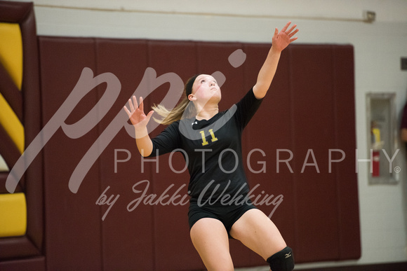 PANTHER VOLLEYBALL VS HANCOCK-SECTIONS_20171023_0016