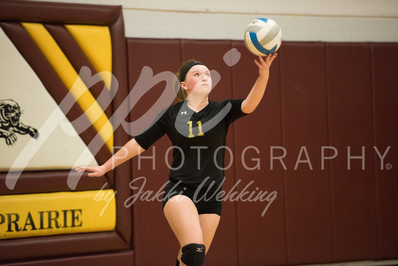 PANTHER VOLLEYBALL VS HANCOCK-SECTIONS_20171023_0020