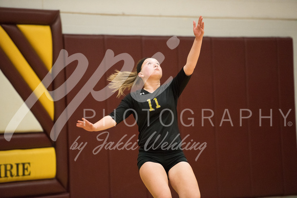 PANTHER VOLLEYBALL VS HANCOCK-SECTIONS_20171023_0021