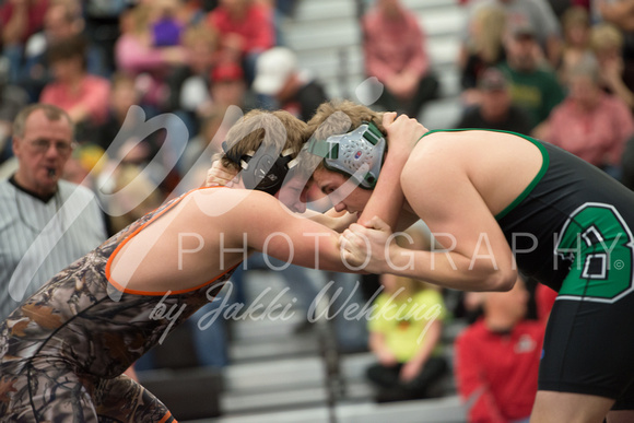 BHVPP SECTION 6A WRESTLING_20180224_0020