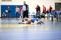 BHVPP WRESTLING - SECTION 6A INDIVIDUALS