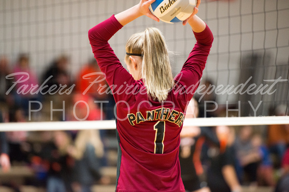 Panther Volleyball vs Henning__20131021_0023