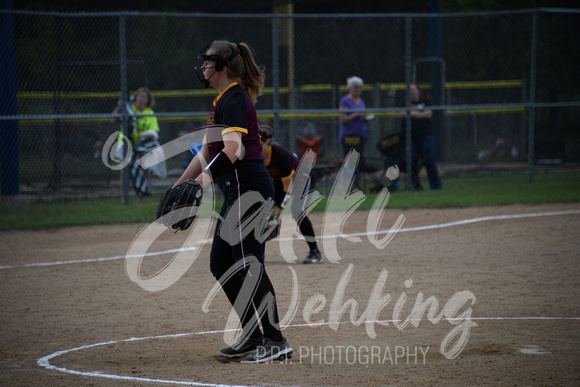 PANTHER SOFTBALL VS BROWERVILLE SECTIONS_20230530_00008