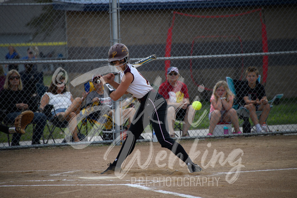 PANTHER SOFTBALL VS LPA_20230530_00017