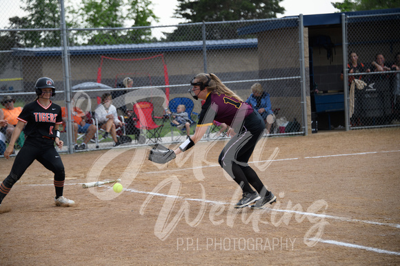 PANTHER SOFTBALL VS BROWERVILLE SECTIONS_20230530_00021