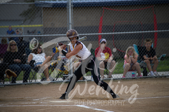 PANTHER SOFTBALL VS LPA_20230530_00016