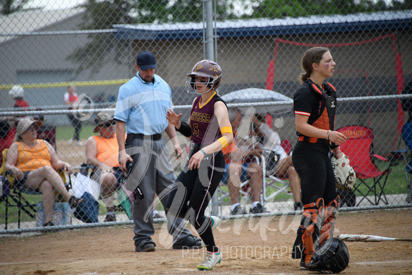 PANTHER SOFTBALL VS BROWERVILLE SECTIONS_20230530_00016