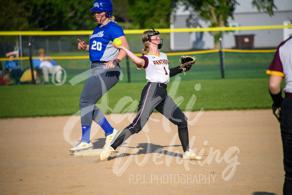 PANTHER SOFTBALL VS SWANVILLE - SECTIONS_20230525_00028