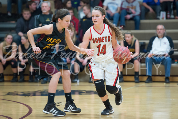 Panther GBB vs Hillcrest Lutheran__20140109_0021