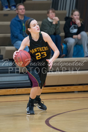 Panther GBB vs Hillcrest Lutheran__20140109_0015