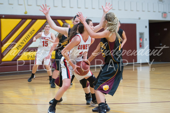 Panther GBB vs Hillcrest Lutheran__20140109_0022