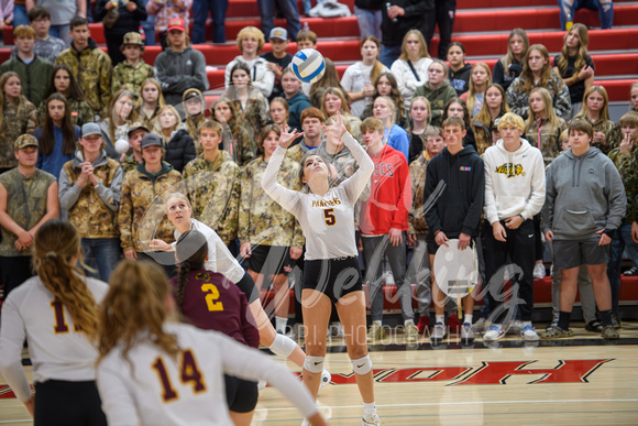 PANTHER VOLLEYBALL VS WCA_SECTIONS_20231027_00012-Enhanced-NR