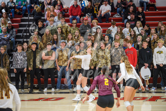 PANTHER VOLLEYBALL VS WCA_SECTIONS_20231027_00022-Enhanced-NR