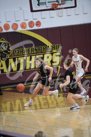 PANTHER GBB VS ASHBY - SECTIONS_20240226_00150