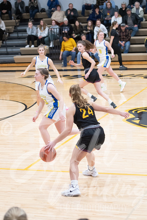 PANTHER GBB VS BRANDON-EVANSVILLE_20220111_134633