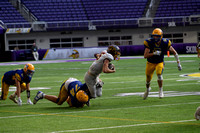 PANTHER FOOTBALL VS MINNEOTA - STATE SEMIFINALS