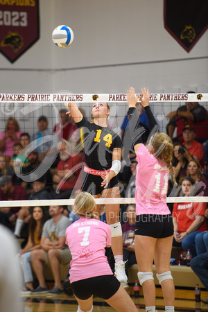 PANTHER VB VS BRANDON-EVANSVILLE_20240910_00017-Enhanced-NR